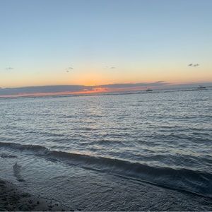 Meet your Posher, Lily